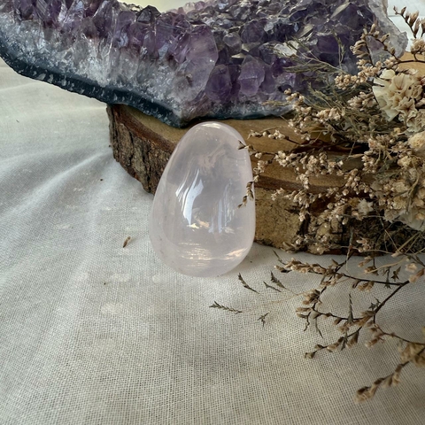 Yonni Egg (variados)