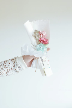 MINI ROSA CARPEDIA - comprar online