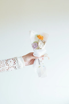 MINI ROSA CARPEDIA en internet