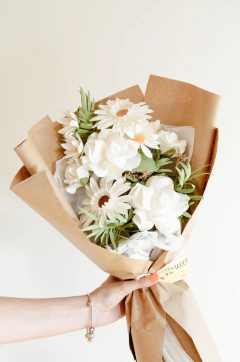 RAMO OLIVIA en internet