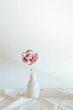 ROSA CARPEDIA en internet
