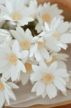 RAMO MARGARITA CREMA en internet