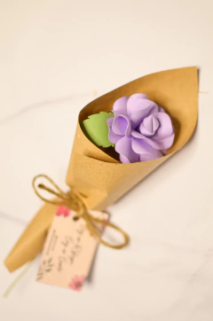 MINI CARPEDIA INDIVIDUAL - tienda online