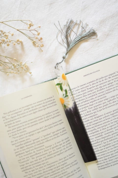 Imagen de SEÑALEMELO