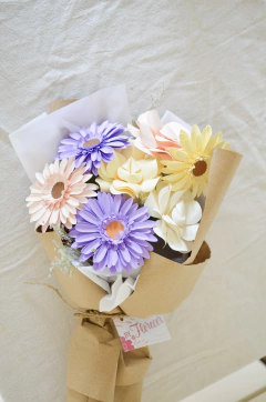 RAMO CLEMENTINA en internet