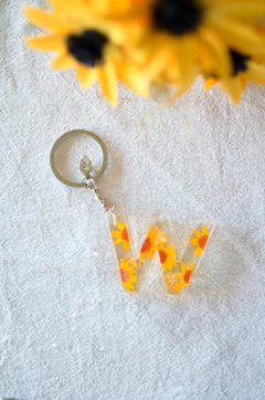 HOLA LLAVE GIRASOL en internet