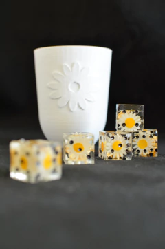 DADOS - comprar online