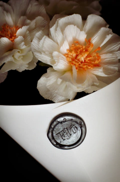 ROSA ICEBERG - tienda online