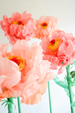 PEONIA GIGANTE SALMON - comprar online