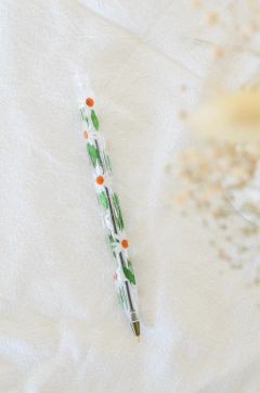 LAPI COLORES en internet