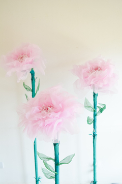 PEONIA GIGANTE ROSA CLARO - comprar online