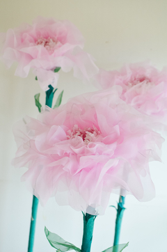 PEONIA GIGANTE ROSA CLARO en internet