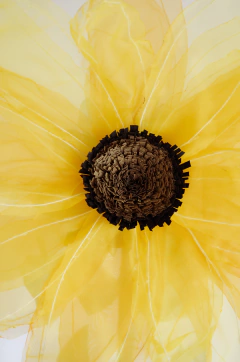 GIRASOL GIGANTE - tienda online