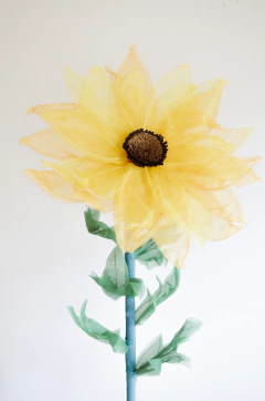 GIRASOL GIGANTE en internet