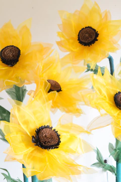 GIRASOL GIGANTE - comprar online