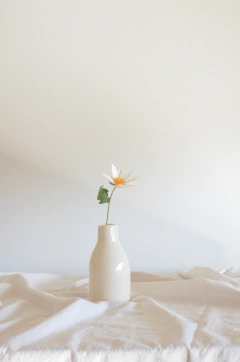 MARGARITAS CENTRO COLOR - comprar online