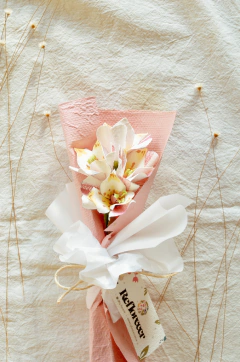 MINI ALSTROEMERIA ROSA - comprar online