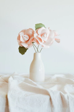 ROSA CARPEDIA - by florecer