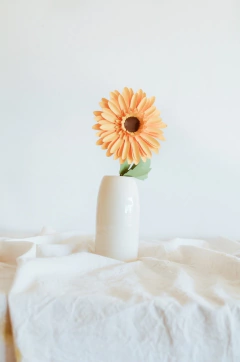 GERBERA - by florecer