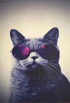Gato 30x42