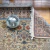 Tapete Shad - comprar online