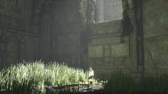 THE LAST GUARDIAN PS4 Digital - Argentina Play