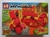 Imagen de MINECRAFT - FLAME ENDER DRAGON (minifiguras) - MG 1130