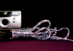 President Celeste en internet