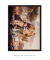 Quadro Decorativo Família Leão 01 - Vilela Galeria de Quadros