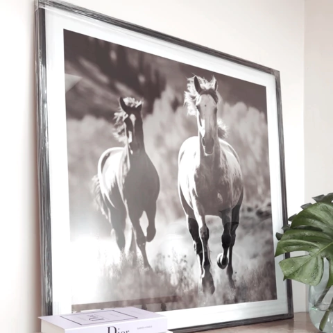 Wild grace - comprar online