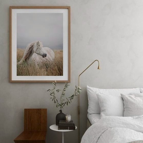 White horse