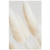 Bunny Tail (Lámina)