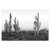 Desierto - comprar online