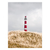 Faro I en internet