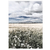 Campo en Flor, Ruanos y Plumerillos (Trío) - comprar online