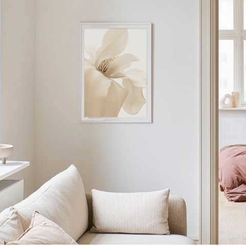 Magnolia