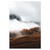 Foggy - comprar online