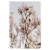 Pink Blossom - comprar online