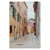Seises - comprar online