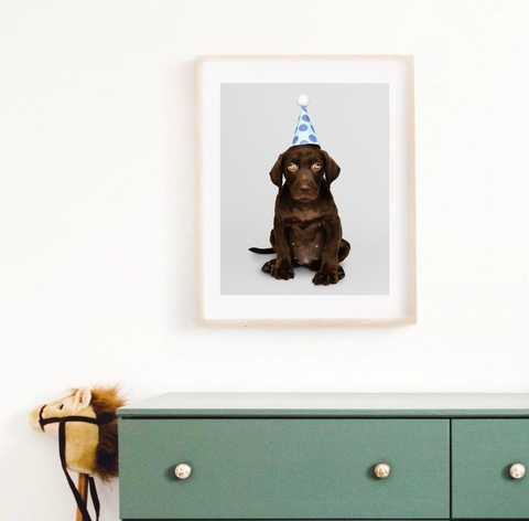 Labrador