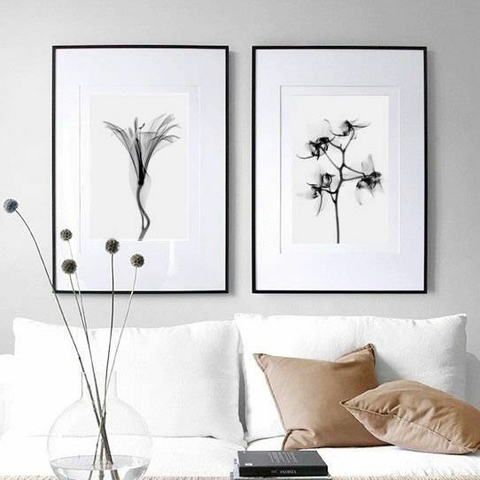 Les Fleurs (Dúo)
