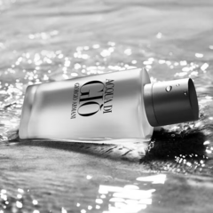 Giorgio Armani Acqua Di Giò Masculino Eau de Toilette na internet
