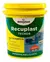 Recuplast Techos Membrana en Pasta x 20kg - SINTEPLAST - comprar online