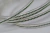PULSEIRA LUXURY BANHADO A RHODIUM na internet