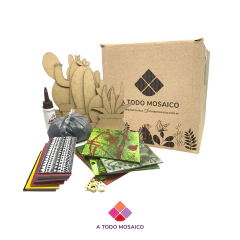 Combo Cactus en internet