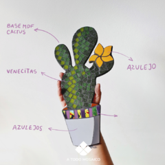 Fibrofácil Cactus en internet