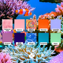 Pack Arrecife - comprar online