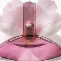 Euphoria Calvin Klein Eau de Toilette - Day Imports