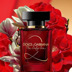 The Only One 2 Dolce & Gabbana Eau de Parfum - Day Imports