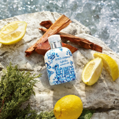 Light Blue Pour Homme Summer Vibes Dolce & Gabbana Eau de Toilette na internet